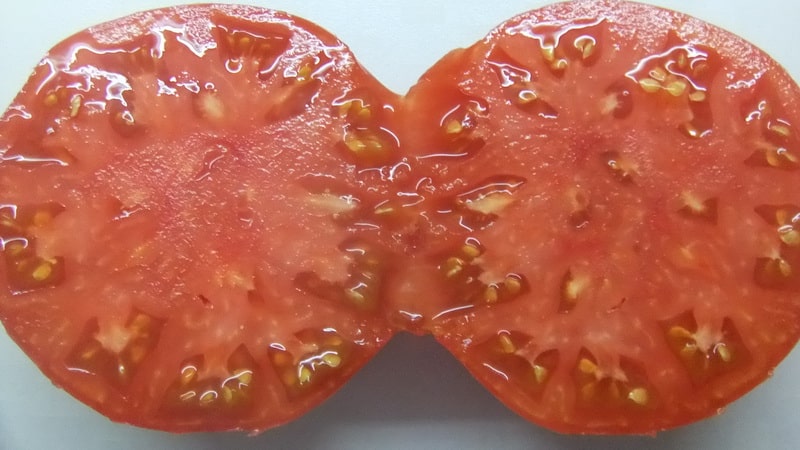 Hoe je tomatenzaden thuis kunt bereiden en er een winteroogst van kunt krijgen - advies van ervaren tuiniers