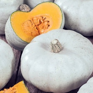 Varietà di zucca grigia Volzhskaya a frutto grosso e di mezza stagione: regole della tecnologia agricola e consigli per la coltivazione