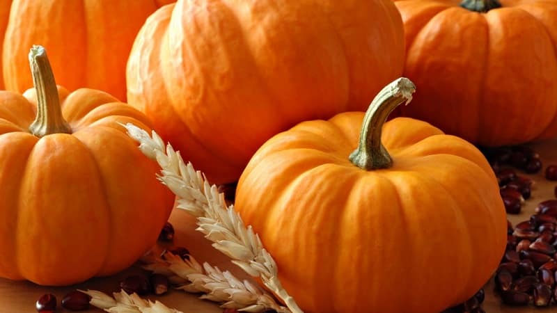 Medicina sabrosa y saludable de su propio jardín: tratamiento con calabaza para diversas enfermedades