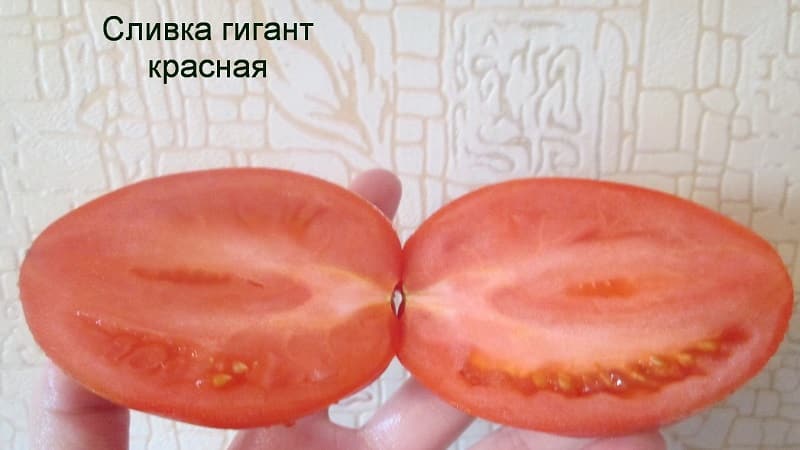 Hindi pangkaraniwang Slivka tomato at kung paano alagaan ito