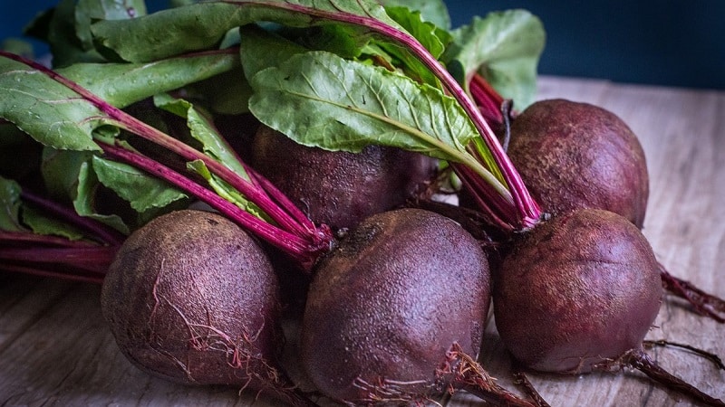 Propriétés bénéfiques des betteraves pour les femmes : comment utiliser le légume avec un maximum d'avantages pour la beauté et la santé