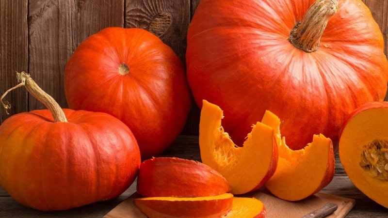 I benefici e i danni della zucca per il corpo: composizione e proprietà della verdura, regole per il suo utilizzo