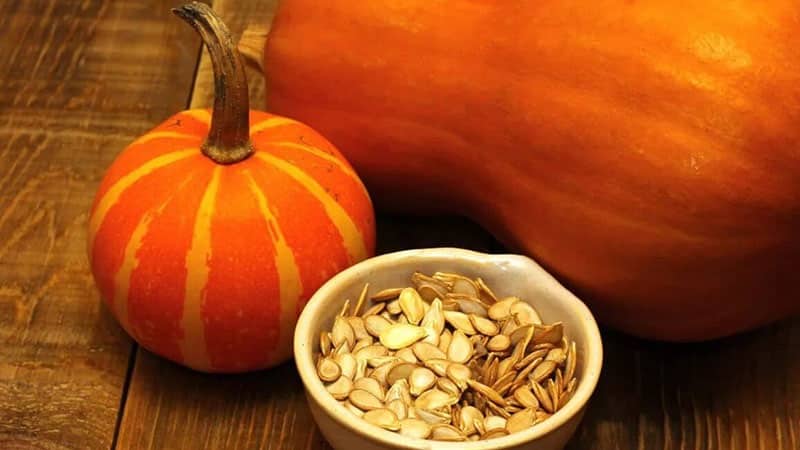 Los beneficios y perjuicios de la calabaza para el organismo: composición y propiedades de la verdura, reglas para su uso.