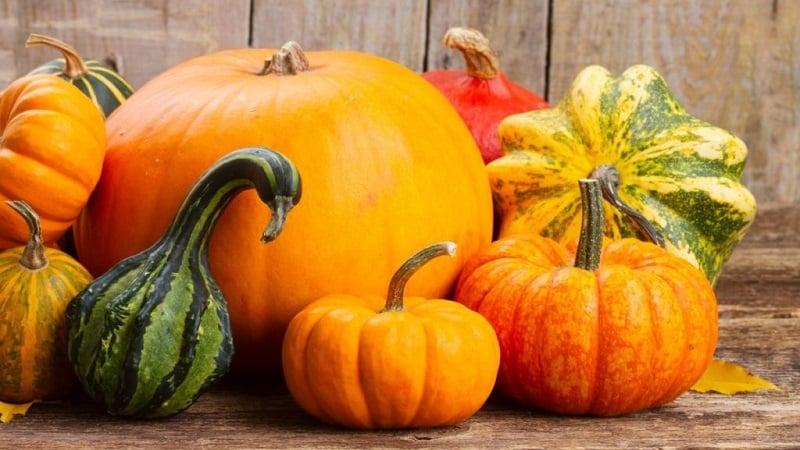 I benefici e i danni della zucca per il corpo: composizione e proprietà della verdura, regole per il suo utilizzo