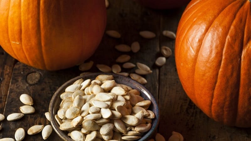 I benefici e i danni della zucca per il corpo: composizione e proprietà della verdura, regole per il suo utilizzo