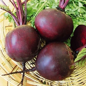 หวานและเต็มไปด้วยวิตามิน Mulatto beets: วิธีปลูกพืชผลที่อุดมสมบูรณ์และสถานที่ที่จะใช้