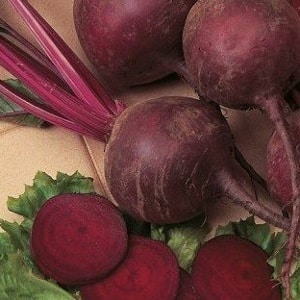 Matamis at puno ng bitamina Mulatto beets: kung paano palaguin ang isang masaganang ani at kung saan ito gagamitin