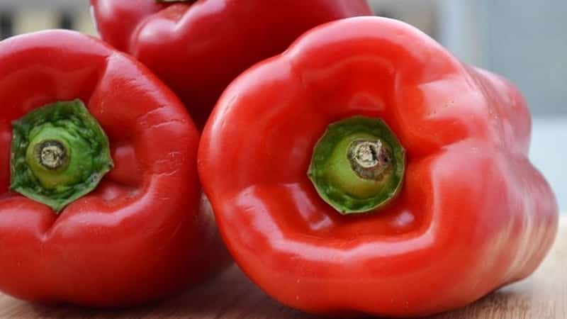 Variedade de pimenta doce e suculenta Tolstyachok para estufas e terrenos abertos