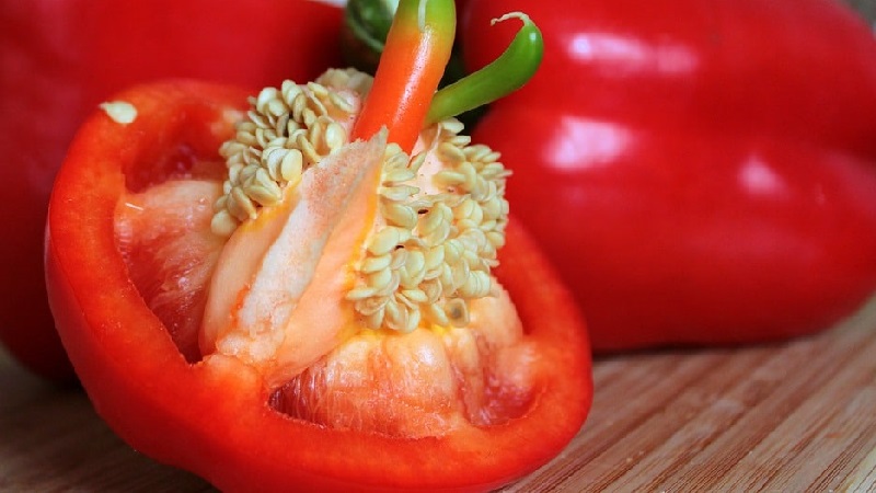 Sweet and juicy pepper variety Tolstyachok for greenhouses and open ground