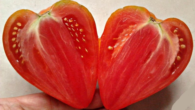 Des tomates délicieuses et aromatiques qui ressemblent à des baies géantes - l'étonnante tomate rouge fraise allemande