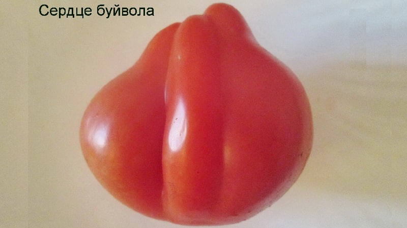 We grow our own large tomatoes with sweet, juicy, grainy pulp: Buffalo Heart tomato