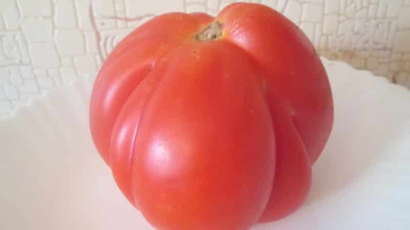 We grow our own large tomatoes with sweet, juicy, grainy pulp: Buffalo Heart tomato