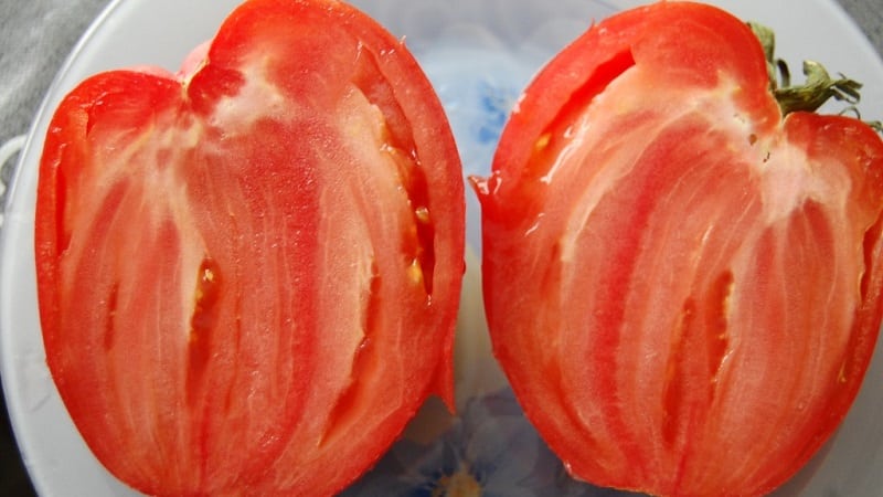 We grow our own large tomatoes with sweet, juicy, grainy pulp: Buffalo Heart tomato