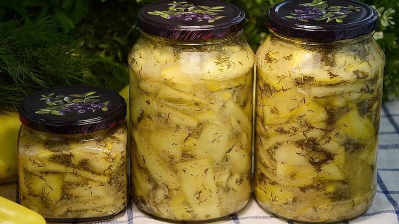 Gustări de iarnă originale de făcut singuri: cum să murați dovlecelul - 12 cele mai delicioase rețete