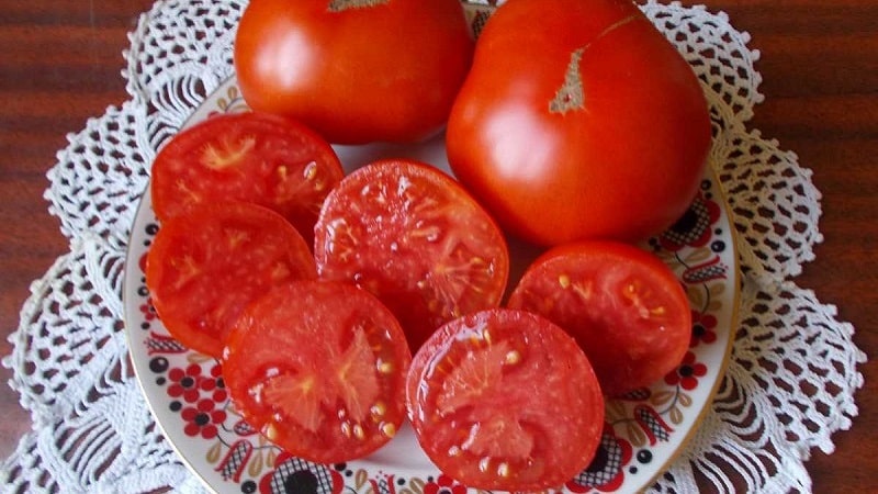 Une variété à croissance basse pour les résidents d'été novices - Tomate naine de Mongolie: description de la variété et critiques de sa culture