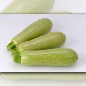 Ang pinakamahusay na mga varieties ng zucchini para sa bukas na lupa: mga larawan na may mga paglalarawan, mga tip para sa pagpili