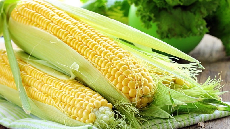 What varieties of corn are there and how to choose the best one for yourself