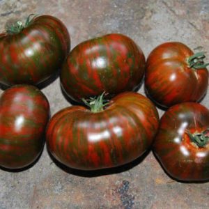 A variety with an unusual color, unique taste and appetizing name - Striped Chocolate tomato