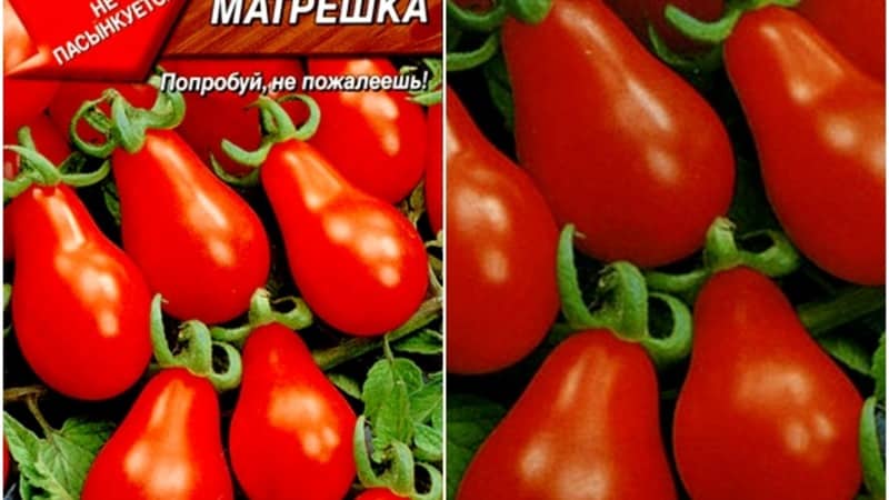 Come coltivare un pomodoro matrioska incredibilmente bello e gustoso sul tuo terreno