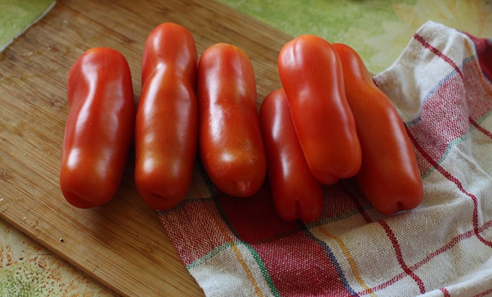 특이한 모양의 Zhigalo 토마토로 당신을 즐겁게 놀라게 할 것 : 농업 기술에 대한 리뷰, 사진 및 설명