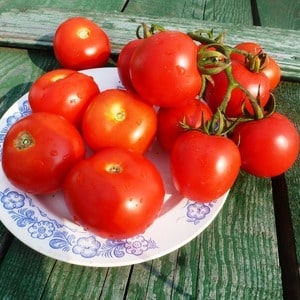 Tomate híbrido Alhambra de alto rendimiento, agradable con frutos grandes y jugosos y resistente a enfermedades.