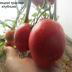 A variety with an appetizing name - Strawberry tomato: grow it correctly and collect up to 5 kg per bush