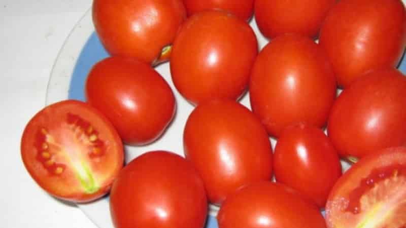 Une tomate Marusya sans prétention et au goût excellent : nous la cultivons nous-mêmes et profitons de la récolte