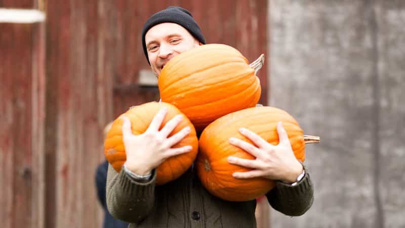 Perché la zucca fa bene agli uomini e come usarla correttamente per ottenere il massimo effetto curativo