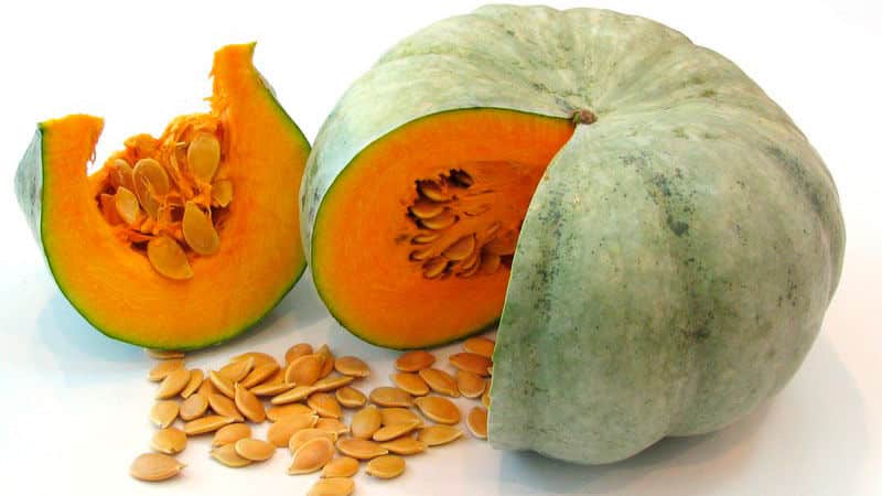 Perché la zucca fa bene agli uomini e come usarla correttamente per ottenere il massimo effetto curativo