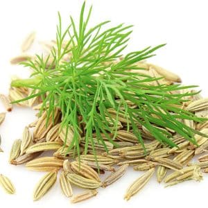 What are the benefits of dill seeds for the pancreas and how to use them correctly