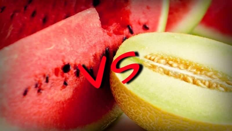 Vad är hälsosammare - vattenmelon eller melon: jämförelse av kompositioner och egenskaper