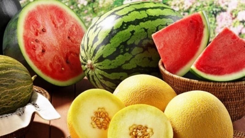 Čo je zdravšie - melón alebo melón: porovnanie zloženia a vlastností