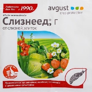 Как да се справим с охлюви по чушки в оранжерия: най-ефективните методи за защита на културите от вредителя