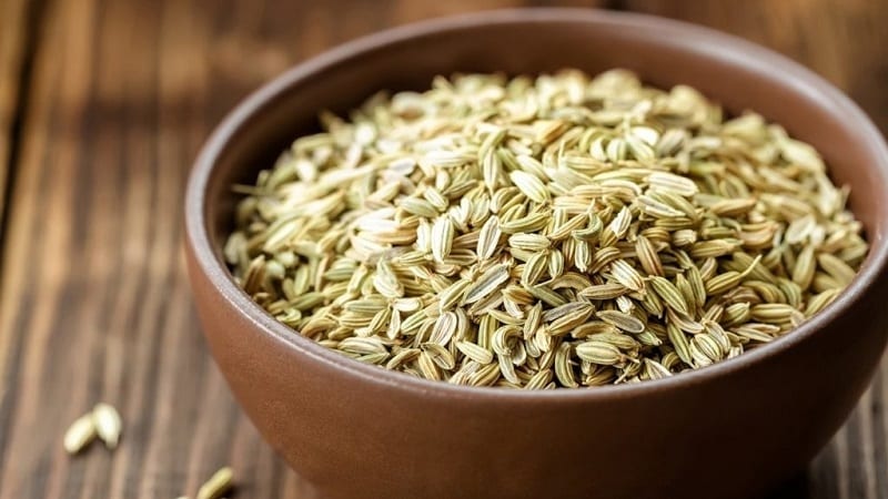 How to properly brew and drink dill for the kidneys when treating urological diseases