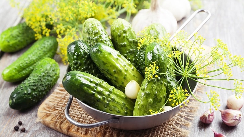 Paano maghanda ng mga crispy cucumber na may vodka para sa taglamig: mga recipe at kapaki-pakinabang na mga tip