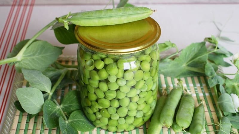 Paano mag-pickle ng berdeng mga gisantes para sa taglamig sa bahay: ang pinakamahusay na mga recipe at rekomendasyon para sa pag-iimbak ng mga paghahanda