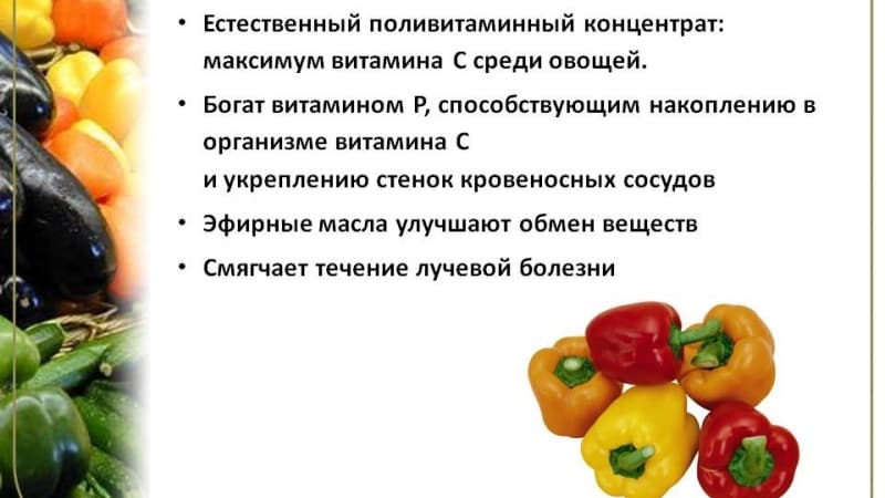 ¿Qué vitaminas contienen los pimientos morrones y cómo son buenos para el organismo?