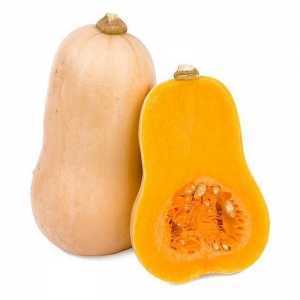 Le migliori varietà di zucca da pieno terreno con foto e descrizioni