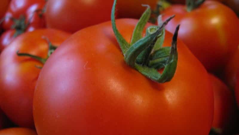 Tomate Druzhok f1, sin pretensiones, de uso universal y de maduración temprana: reseñas y secretos de cultivo