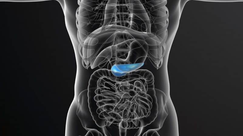 És perillós menjar carbassa si tens pancreatitis?