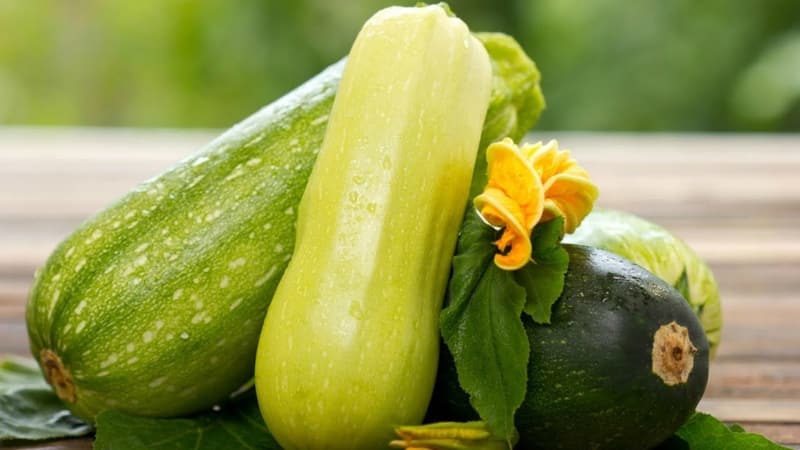 De voordelen en nadelen van courgette voor de menselijke gezondheid: hoeveel te eten en in welke vorm, om het lichaam niet te schaden