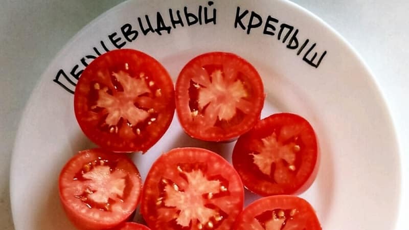 Cuba varieti luar biasa ini yang tidak akan membuatkan anda acuh tak acuh - tomato lada yang teguh