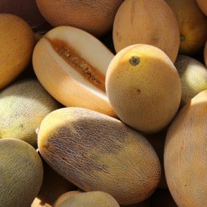 Instruções passo a passo sobre como escolher o melão certo: dicas úteis e truques para encontrar as frutas mais deliciosas