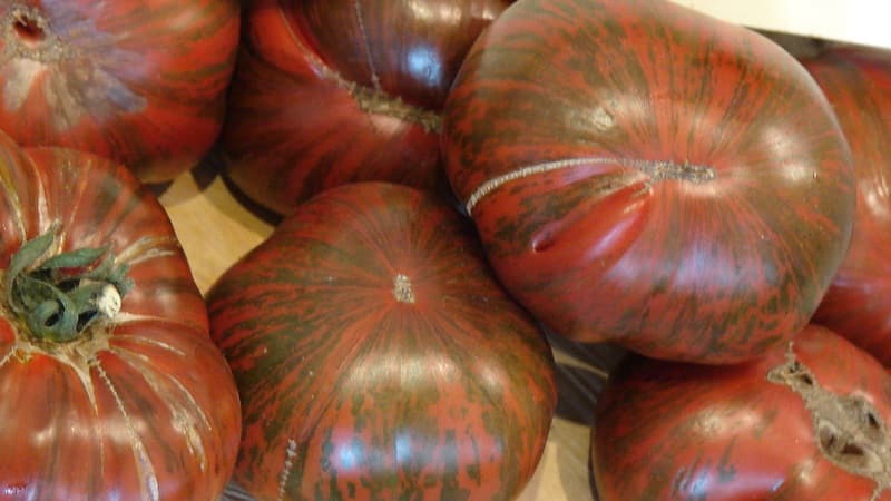 Una variedad con un color inusual, un sabor único y un nombre apetitoso: tomate rayado chocolate