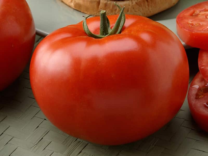 Sweet, fleshy and easy-to-care tomato Sensei - description of agricultural technology and advice from experienced summer residents