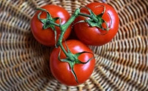 Adakah patut menanam tomato Betta di plot anda? Ciri-ciri dan gambar varieti, nuansa penanaman