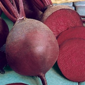 Top 12 best beet varieties: overview of different types and tips for choosing the most suitable one