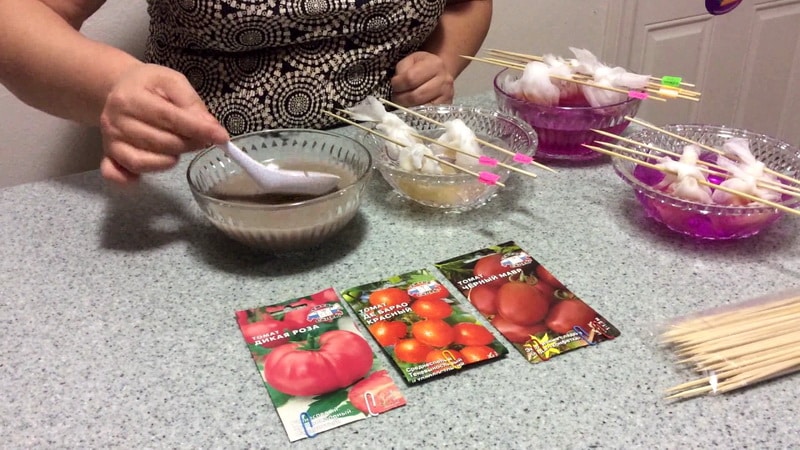 Sorprenda a sus invitados y vecinos con tomates inusuales: tomate Black Bunch F1