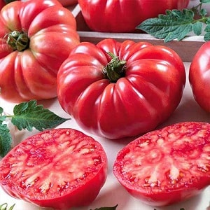 An amazing-looking Pink Fig tomato with a sweet fruity taste - a variety for real gourmets