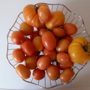 Vamos aprender como guardar tomates em casa e saborear frutas frescas até o inverno